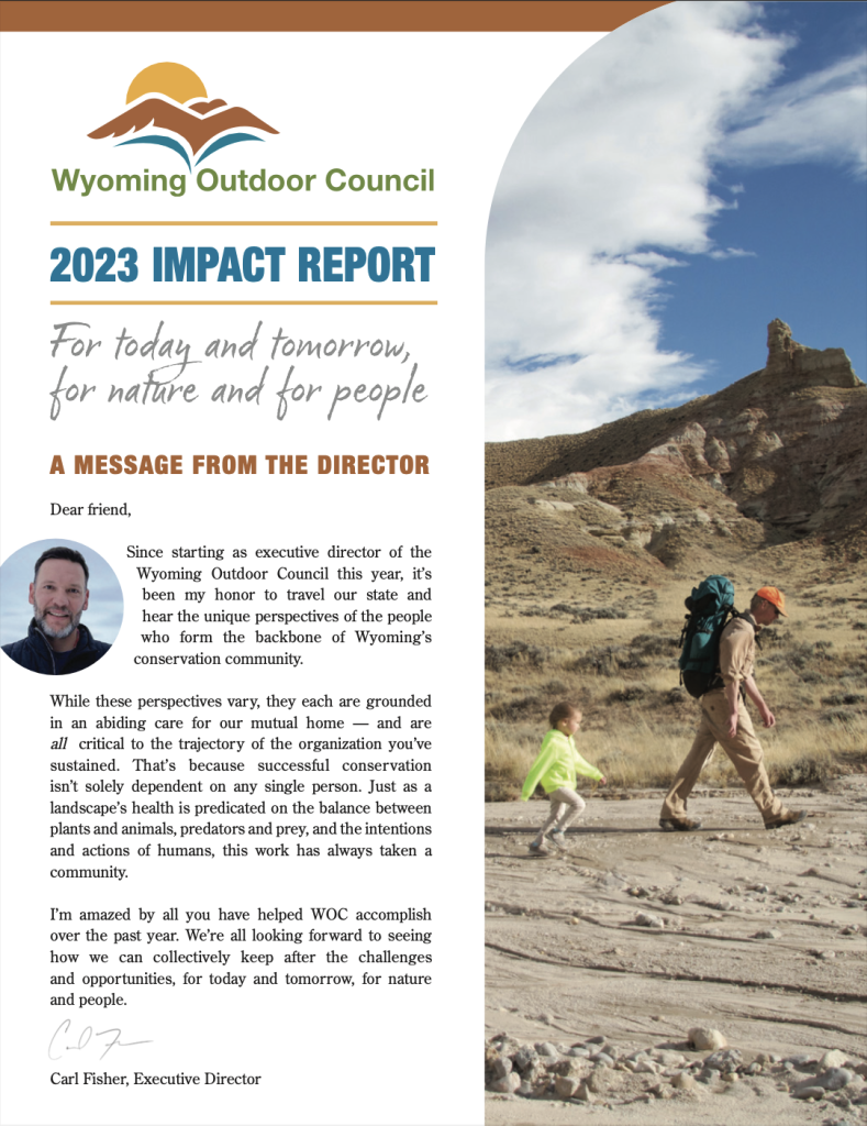 WOC 2023 Impact Report